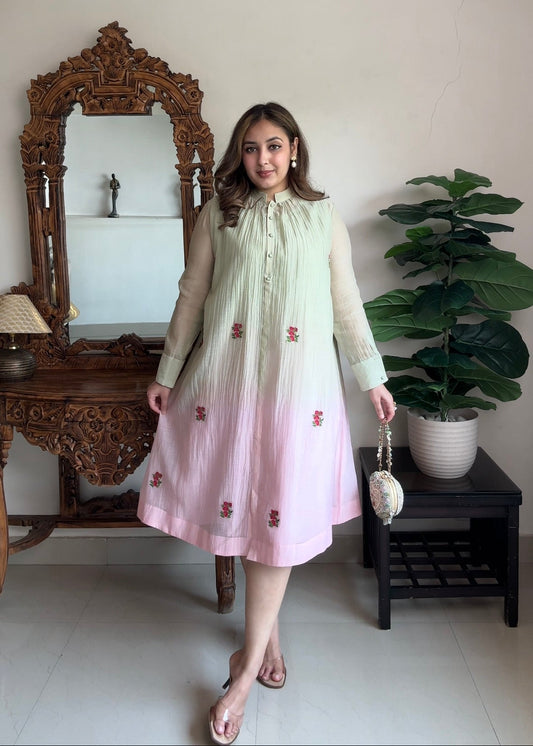 Pastel Bliss Chanderi Dress