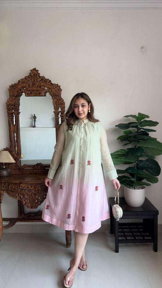 Pastel Bliss Chanderi Dress