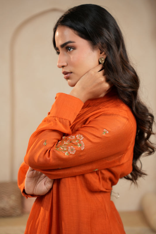 Rust Embroidered Chanderi Dress