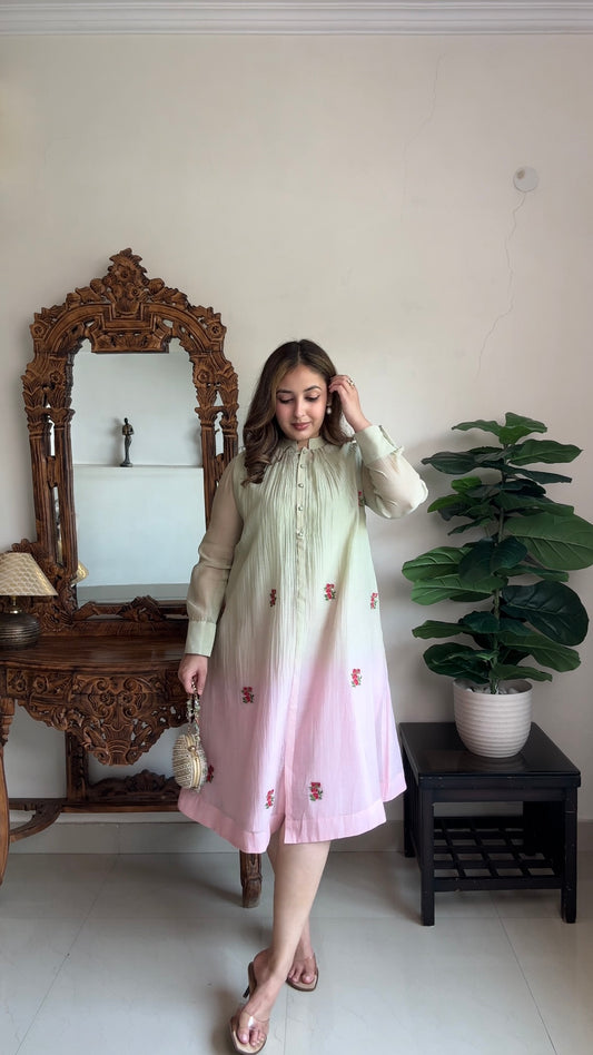 Pastel Bliss Chanderi Dress