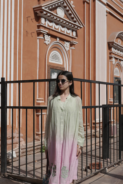Blosma Chanderi Embroidered Dress